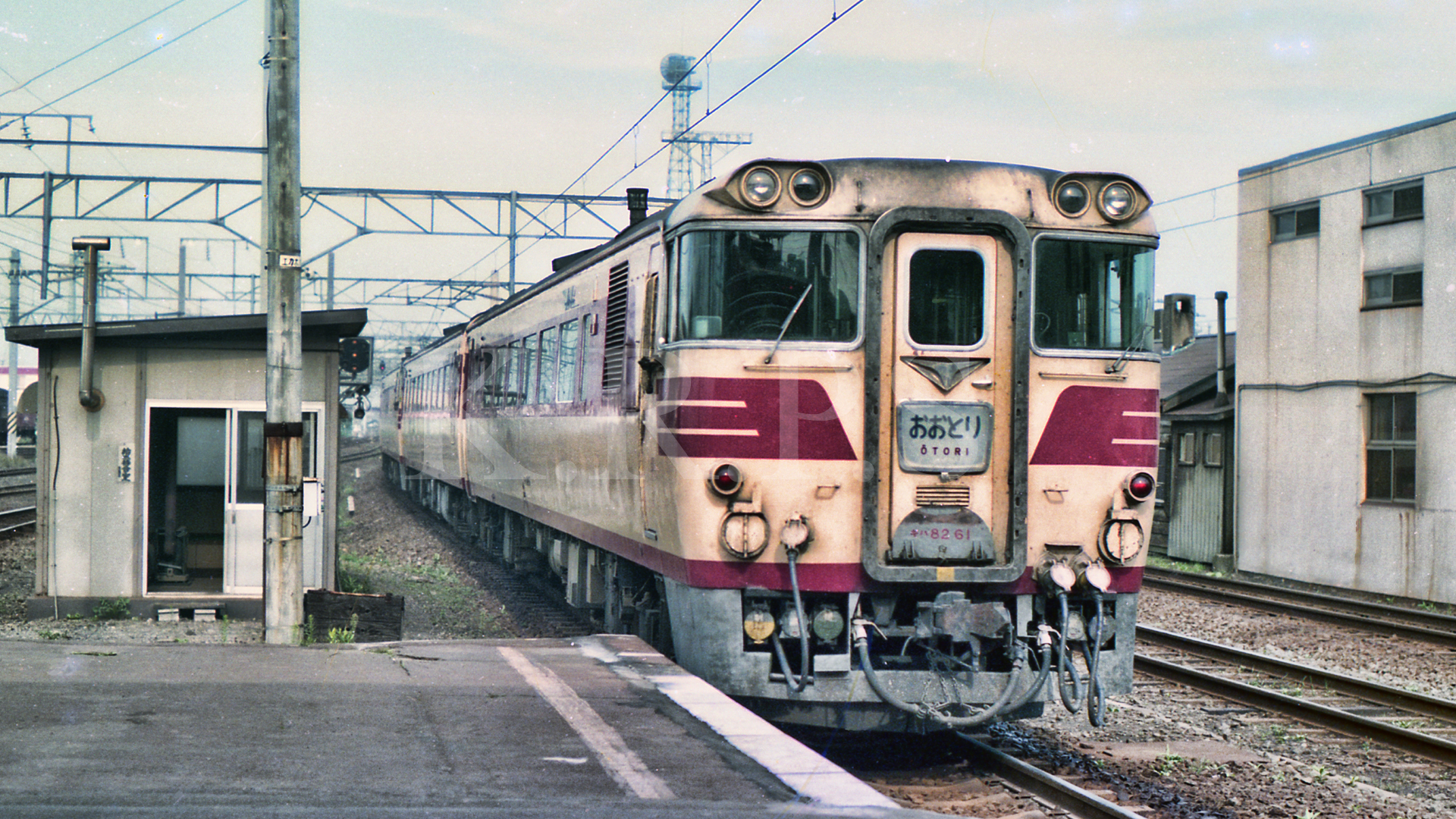 180267　キハ8261_1.jpg
